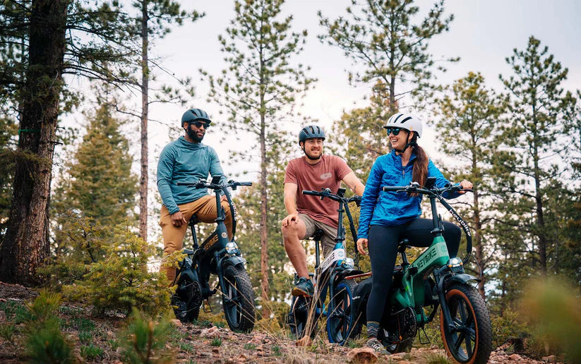 Folding Wide-Tire E-Bikes