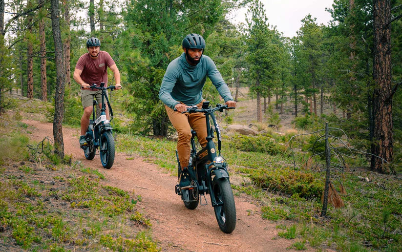 Folding Wide-Tire E-Bikes
