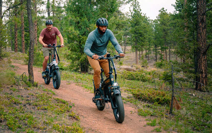 Folding Wide-Tire E-Bikes