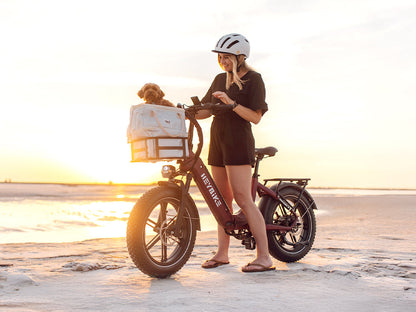 🔥BIG SALE🔥Bestseller Fat Tire Ebikes