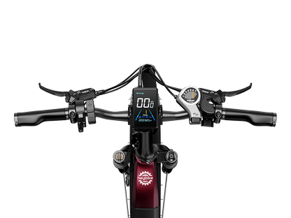 🔥BIG SALE🔥Bestseller Fat Tire Ebikes